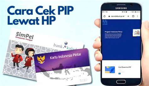 Cek Status PIP Lewat HP