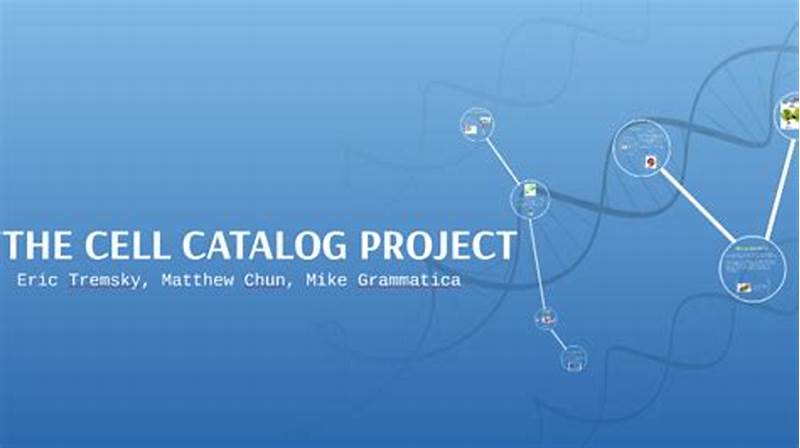 Cell Catalog Project Example