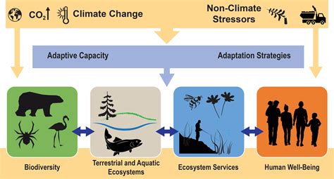 Challenges Posed by Migration on Ecosystems