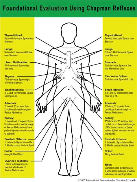 Chapman Reflex Points Chart