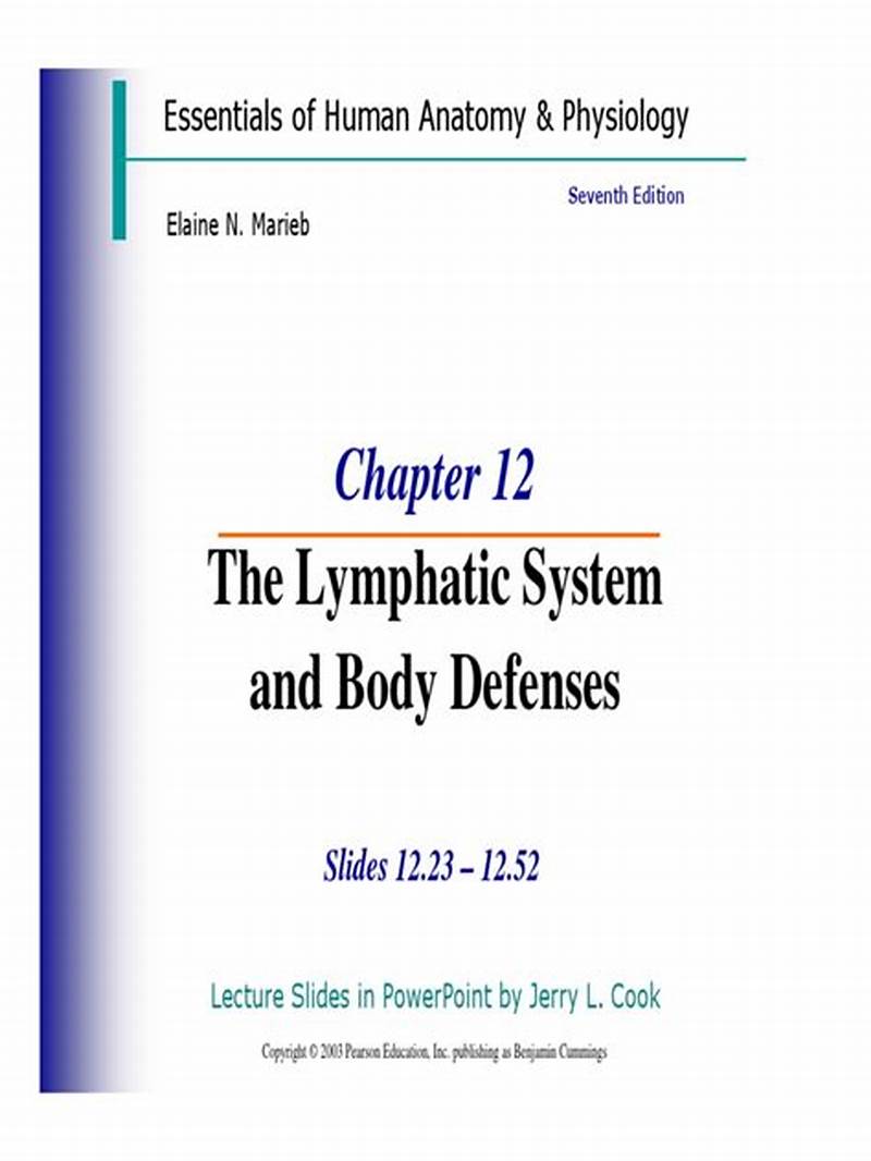 Chapter 12 Lymphatic System 11th Edition Coloring Workbook