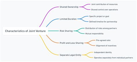 Characteristics of joint venture