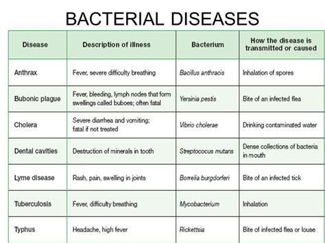 Chart Of Bacterial Diseases