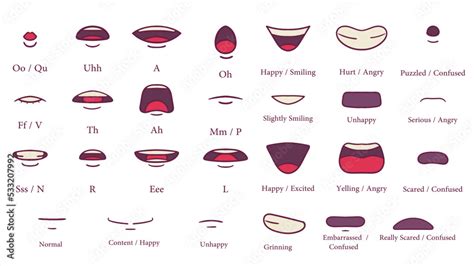 Chart Of The Mouth