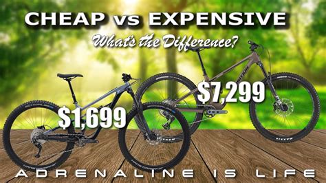 The Budget-Friendly Contender: What Can You Get for Less?