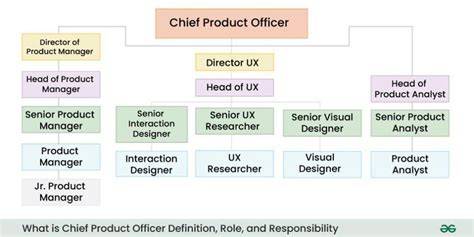Chief Product Officer Role