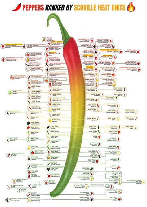 Chilli Chart