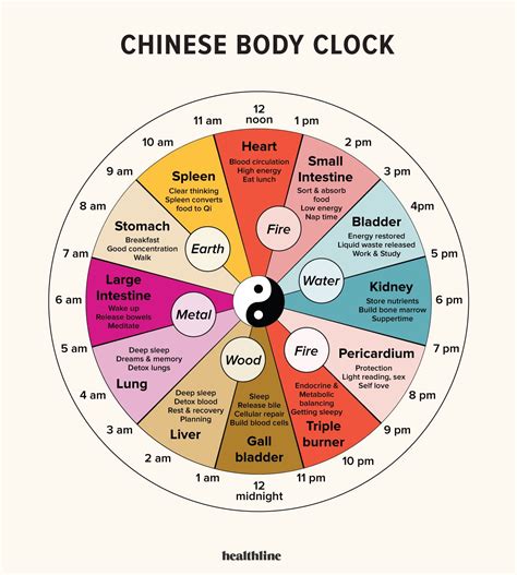 Chinese Body Clock Chart
