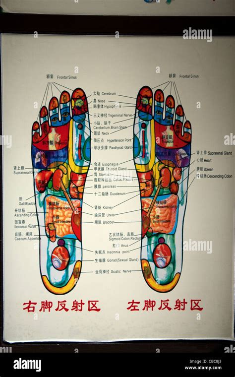 Chinese Foot Chart