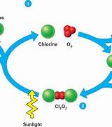 Chlorine Atom Destroying Ozone Molecules