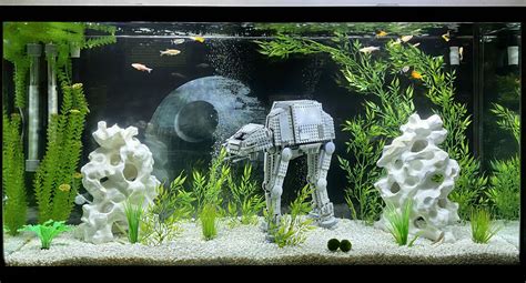 Choosing Safe and Nontoxic Star Wars Fish Tank Decor Items