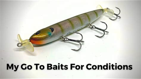 Choosing the Right Bait for WNY Fishing