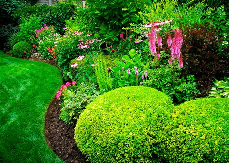Choosing the Right Trees and Shrubs