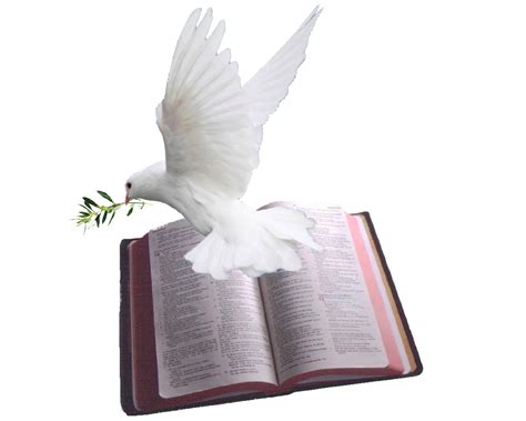 Christian Dove with Bible Stock