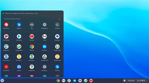 Chrome OS
