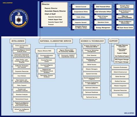 Cia Organizational Chart