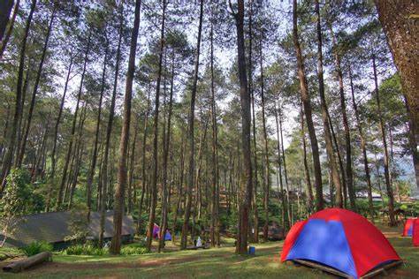 Cikole Lembang Camping Aktivitas