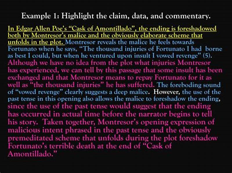 Claim Data Commentary Example