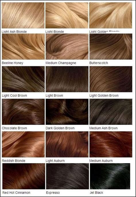 Clairol Hair Color Chart Numbers