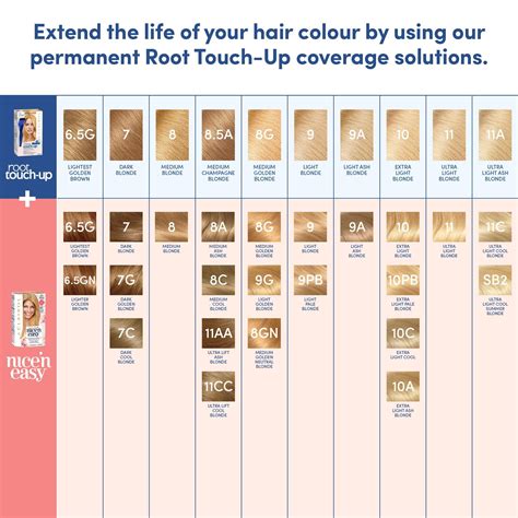 Clairol Nice And Easy Color Chart