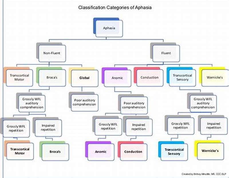 Classification Of Aphasia Chart