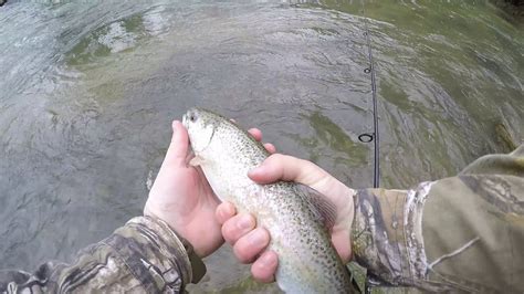 Clear Creek Fishing Techniques