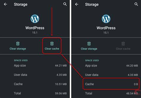Clear cache option on app settings