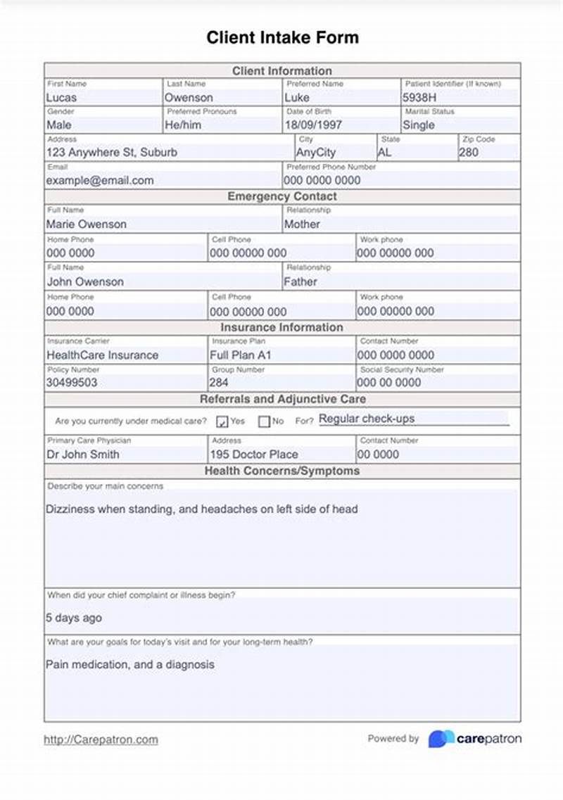 Client Intake Form Example
