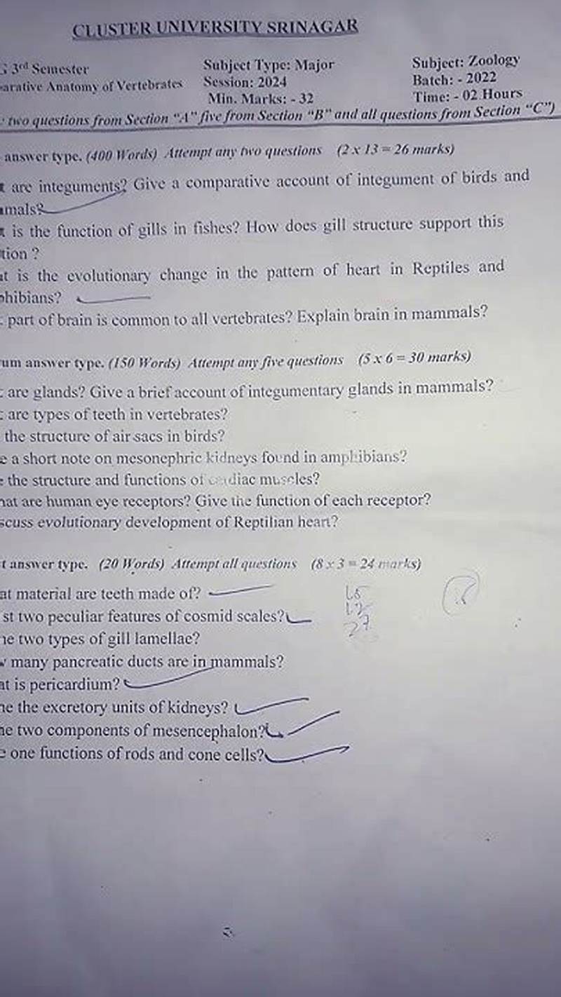 Cluster University Paper Pattern