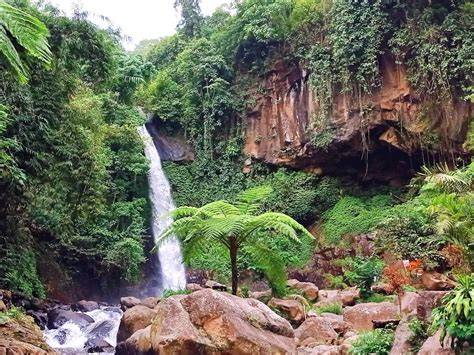 Coban Jahe