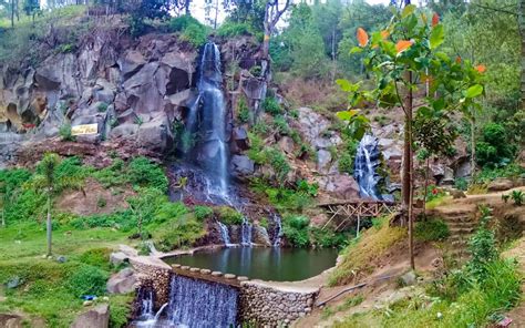 Coban Rais