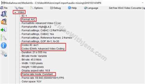 Codec dalam MP4