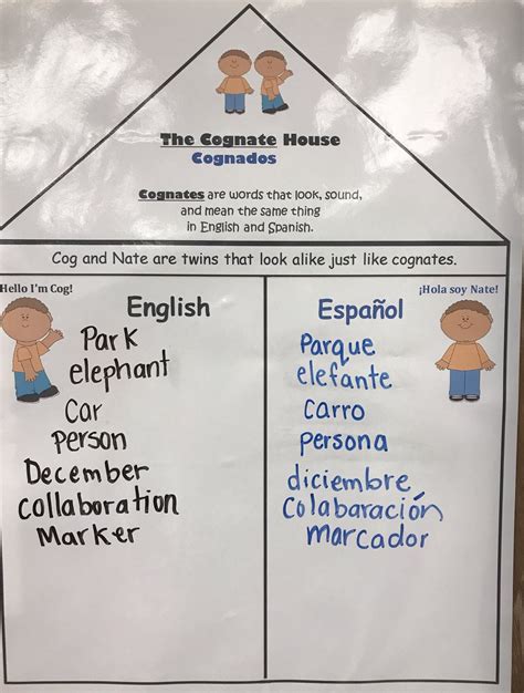Cognates Anchor Chart
