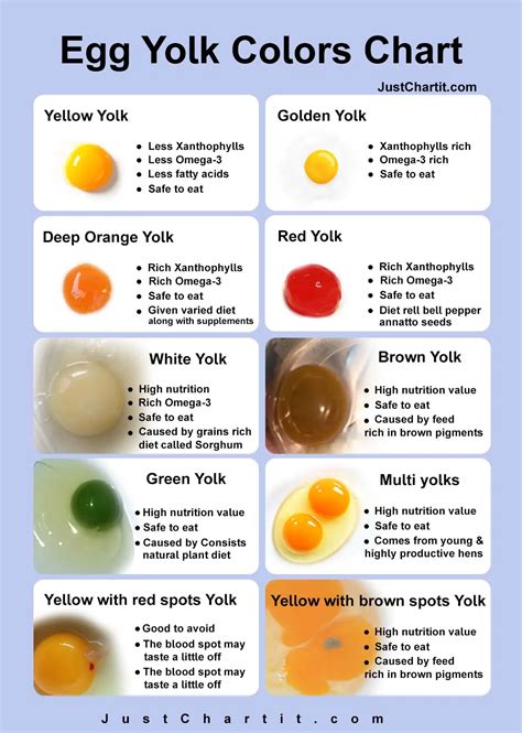 Colored Egg Chart