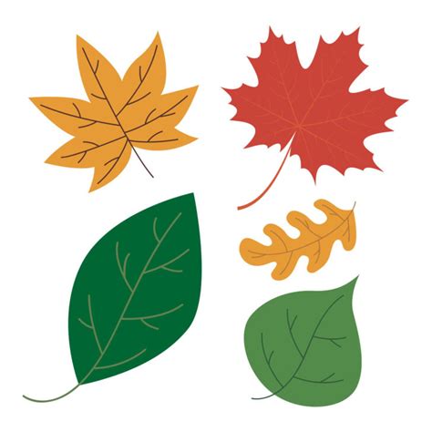 Colored Leaf Printables