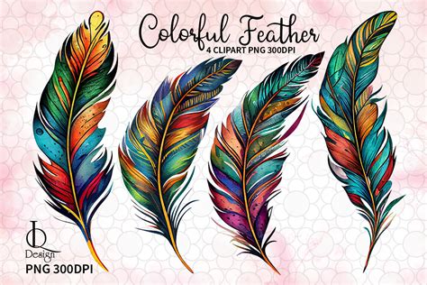 Colorful Feather Drawing