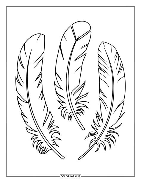 Coloring Pages Feathers