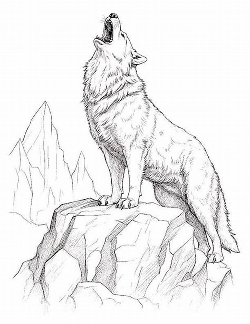 Coloring Pages Wolves