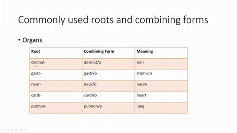 Combining Form That Means Profuse Sweating