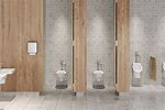 Commercial Toilet Upgrade