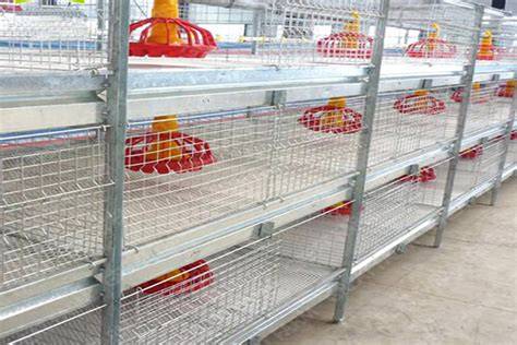 Commercial poultry brooder