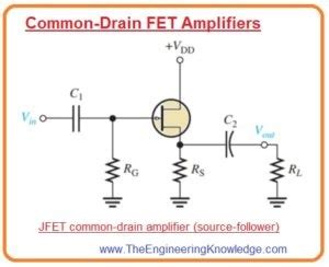 Common Collector and Common Drain