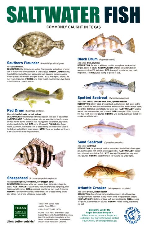 Common Texas Fish Limits