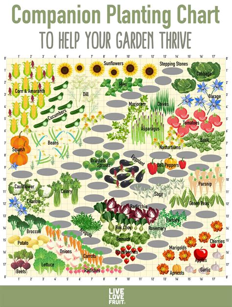 Companion Gardening Chart