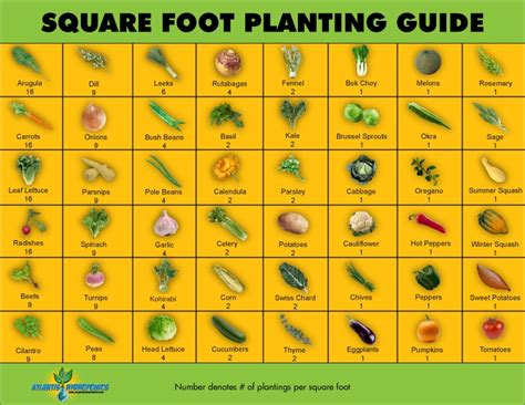 Companion Planting Square Foot Gardening Chart