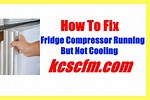 Compressor Refrigerator Not Running