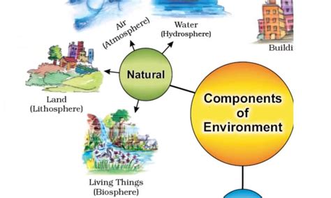 Context and environment