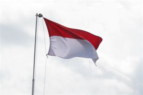 Contoh Bendera Putih