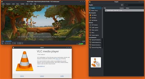 Contoh Freeware VLC Media Player