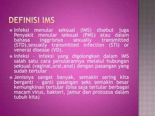 Apa Saja Contoh IMS yang Umum